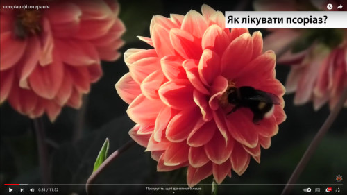 Відіотека.