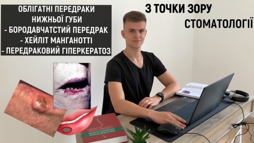 Відіотека.