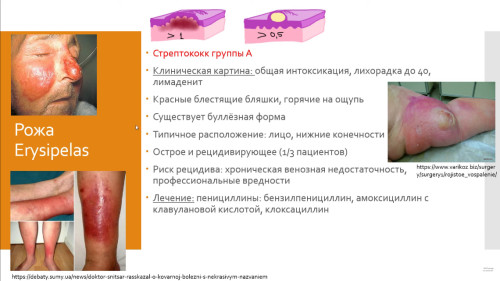 Відіотека.
